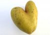  Pomme de terre mon AMOUR